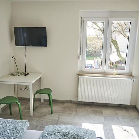 Greenhome Loerrach -Ihre Unterkunft Im 3-Laendereck- Экстерьер фото