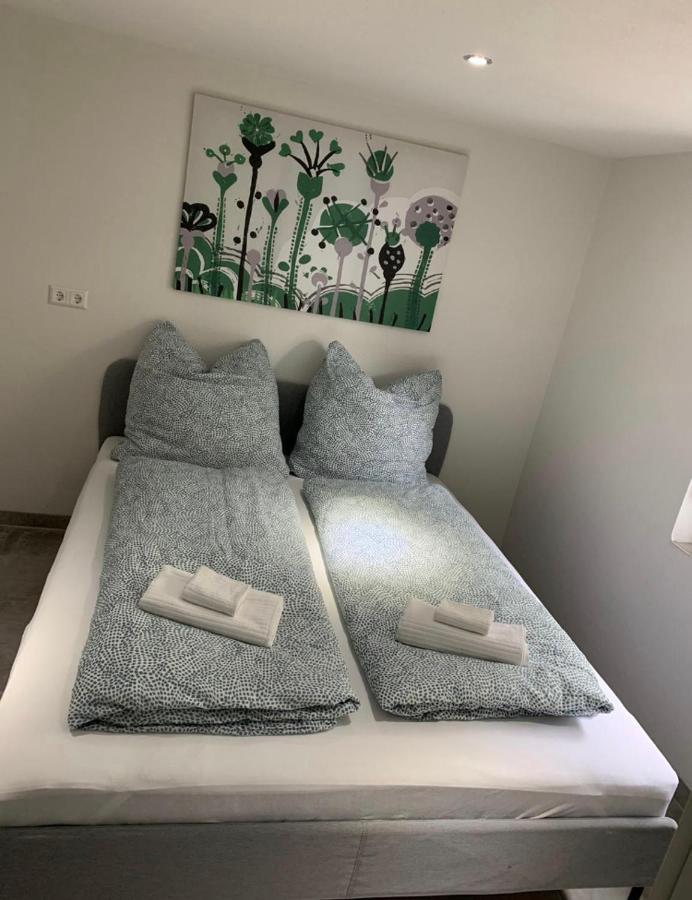 Greenhome Loerrach -Ihre Unterkunft Im 3-Laendereck- Номер фото