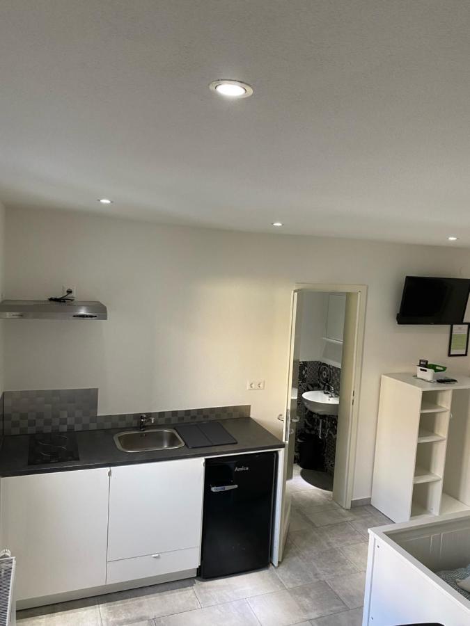 Greenhome Loerrach -Ihre Unterkunft Im 3-Laendereck- Экстерьер фото