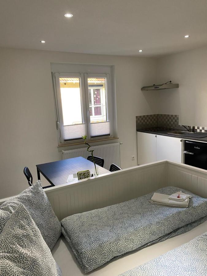Greenhome Loerrach -Ihre Unterkunft Im 3-Laendereck- Экстерьер фото