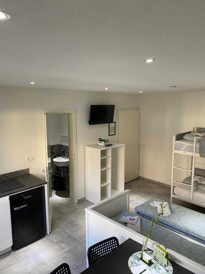 Greenhome Loerrach -Ihre Unterkunft Im 3-Laendereck- Экстерьер фото